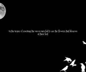 Moon Quotes Albert Schweitzer Hd Wallpaper Space Planets 522136.