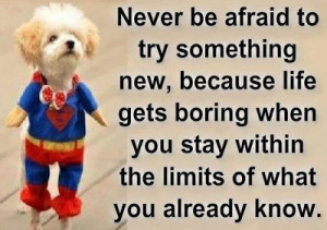 Never be afraid to try something new, because life gets boring when ...