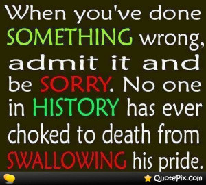 Say Sorry...