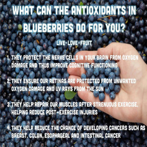 Blueberries Uses