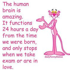 picture quotes funny quotes humor pink panther quotes