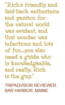 natural history quote 2