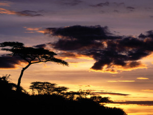 New Beginning Tanzania Africa - nature wallpaper featuring sunrises ...