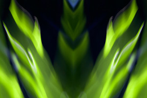 Artqrave Blog Crummy Gummy