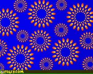 fireworks optical illusion fireworks previous show 3 tweet next page