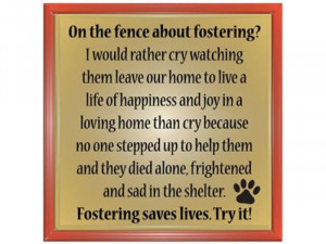 DOG/PUPPY FOSTER HOMES NEEDED