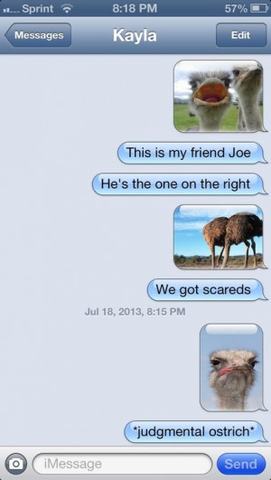funny picture ostrich text 3 wanna joke.com