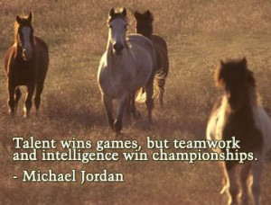 Funny Quotes Contact Us DMCA Notice