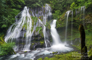 Gifford Pinchot National Forest Waterfalls Gifford pinchot national