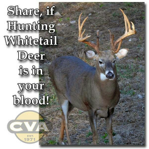 Whitetail Deer Hunting Quotes And Sayings Blog