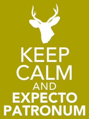 ... Stuff, Quotes, Expecto Patronum, Book, Funny, Keep Calm, Harry Potter