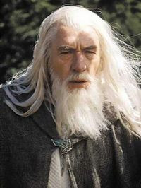 gandalf the grey i am a servant of the secret fire wielder of the ...