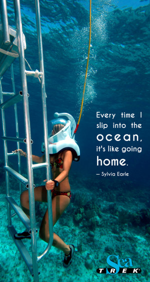 ... the amazing experience available around the world www sea trek com