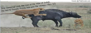 Lioness Arising Victory