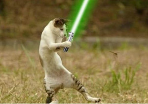Categories » Cats With Lightsabers » Look I cut one of his legs off