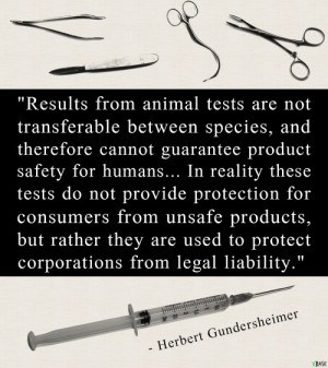 of tumblr ethical vivisection animal activism vegan quotes against ...