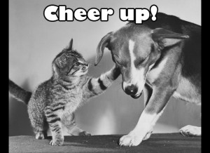 Cheer Up Cat and Dog eCard