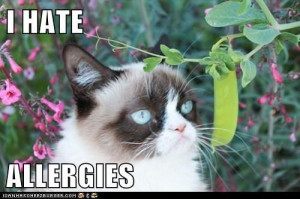 hate allergies