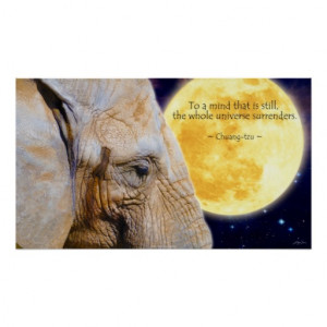 Elephant, Moon & Wisdom Quote Motivational Poster