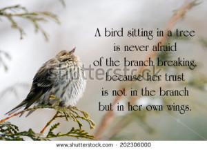 Inspirational quote on life with a pine siskin bird perched on a ...