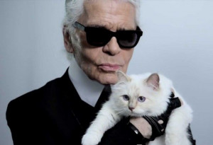 Karl Lagerfeld's on his cat, Choupette: 