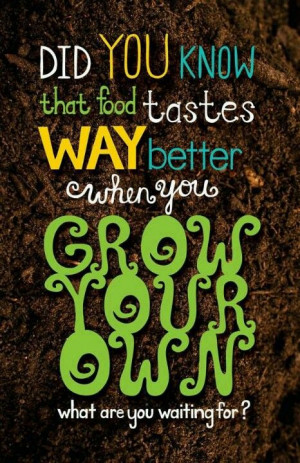 Via Kristi Hayes-vanwingerden