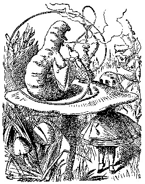 Who Are You?: a Collection of Online Personality Tests