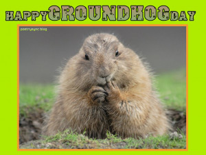 Groundhog Day Quotes Happy groundhog day greetings