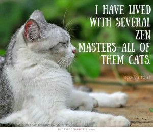 Cat Quotes Zen Quotes Eckhart Tolle Quotes