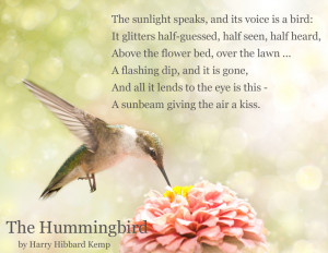 ... feeding in a sunlit garden. The Hummingbird poem by Harry Kemp