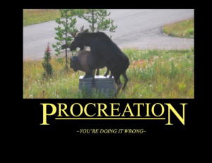 Re: What will lift your spirits?