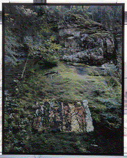 Sylvia Fraser Pictures