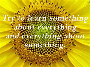 and everything about something. | Personal Transformation Quote ...