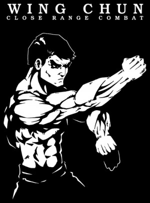 Wing chun ( ving tsun ou wing tsun ) é um sistema de luta surgido no ...
