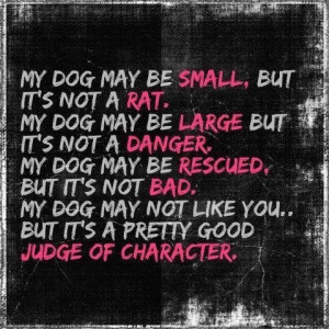 Dogs good judge of character