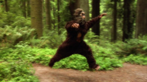 Funny Bigfoot Pictures File name : funny bigfoot