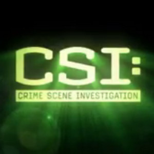 CSI Las Vegas Quotes