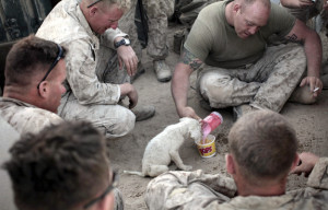 Soldiers with hearts & compassion