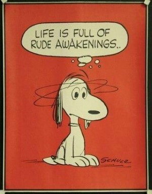 Life is full of rude awakenings Snoopy
