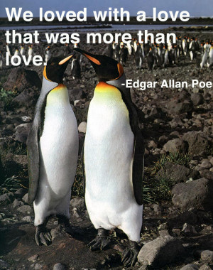 ... Penguin Day, here are our favorite love quotes presented by these