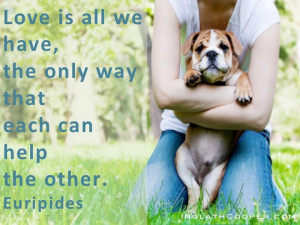 Already have an account? Log in now