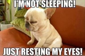 Funny Memes – [I’m Not Sleeping Just Resting My Eyes]