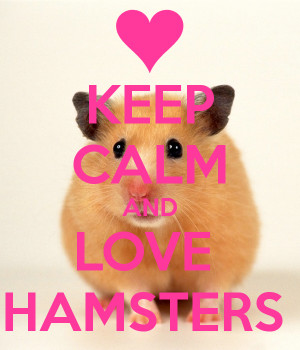 Keep Calm and Love Hamsters