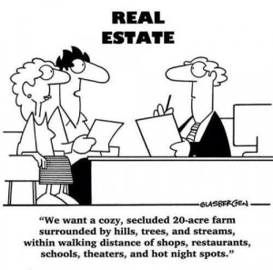 Here is what a real estate client wants