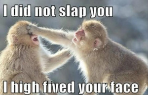 Did Not Slap You…
