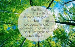 Pinned by Brenda Khalil (Canning)