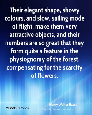 ... physiognomy of the forest, compensating for the scarcity of flowers