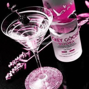 http://www.coolgraphic.org/quotes/alcohol-quotes/grey-goose-vodka ...