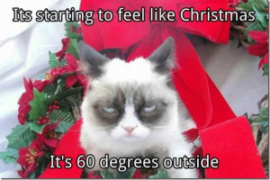 Grumpy Cat Quotes Christmas