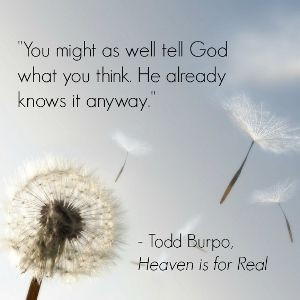 Thanks for Being Imperfect Todd Burpo quote